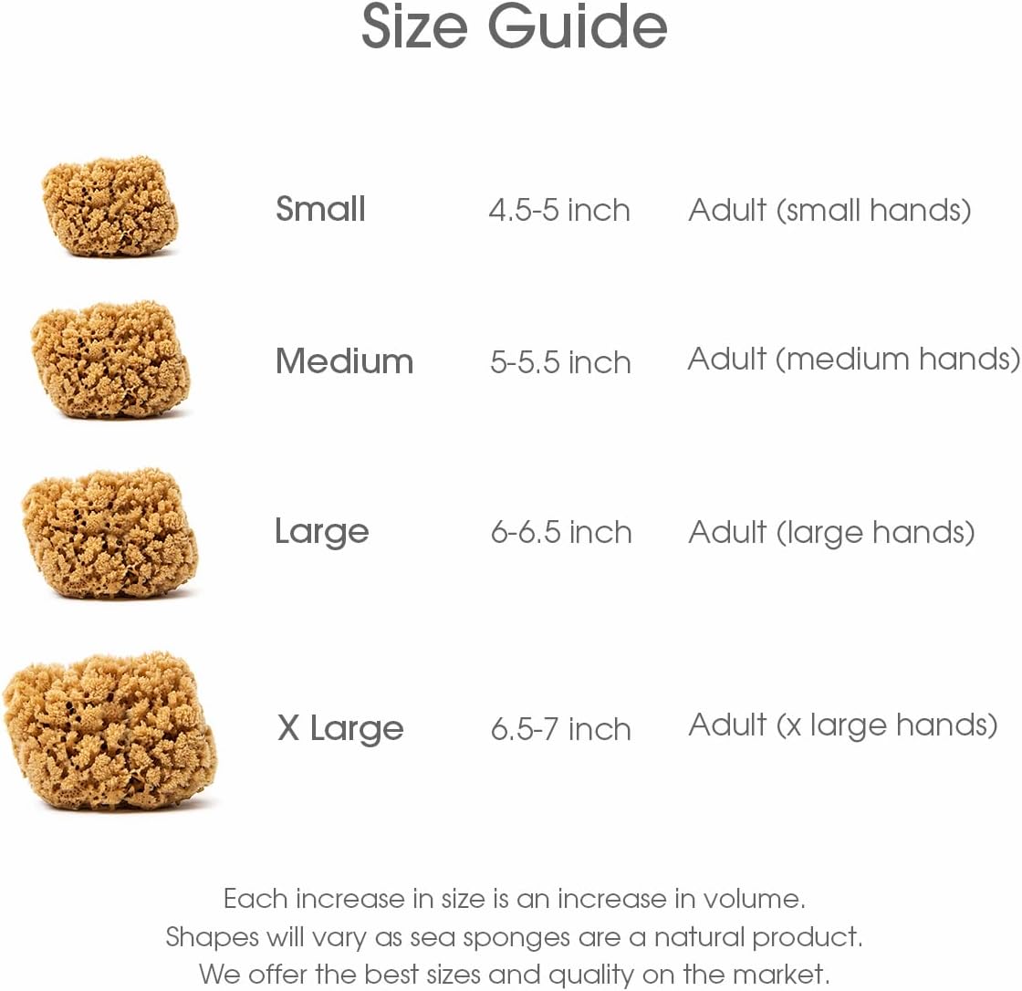 Naroa Massage Natural Shower Sponge Large | Unbleached Body Scrubber Puff | Bath Sea Loofah for Healthy Skin | Sustainable Plastic Free (L)