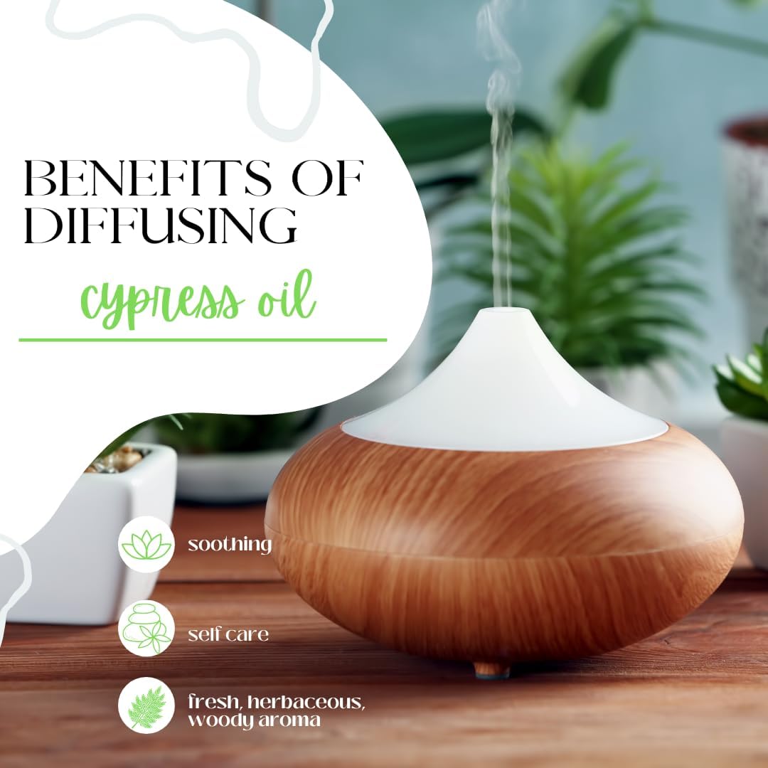 Cypress Essential Oil – 8 fl oz (237 ml) Aluminum Bottle w/Plug Cap – 100% Pure Essential Oil – GreenHealth