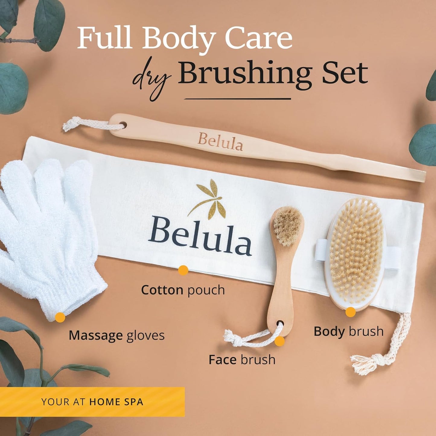 Belula Dry Brushing Body Brush Set - Natural Boar Bristle Body Brush, Exfoliating Face Brush & Bath Gloves - Ideal Dry Skin Brush for Lymphatic Drainage & Healthy Glowing Skin!