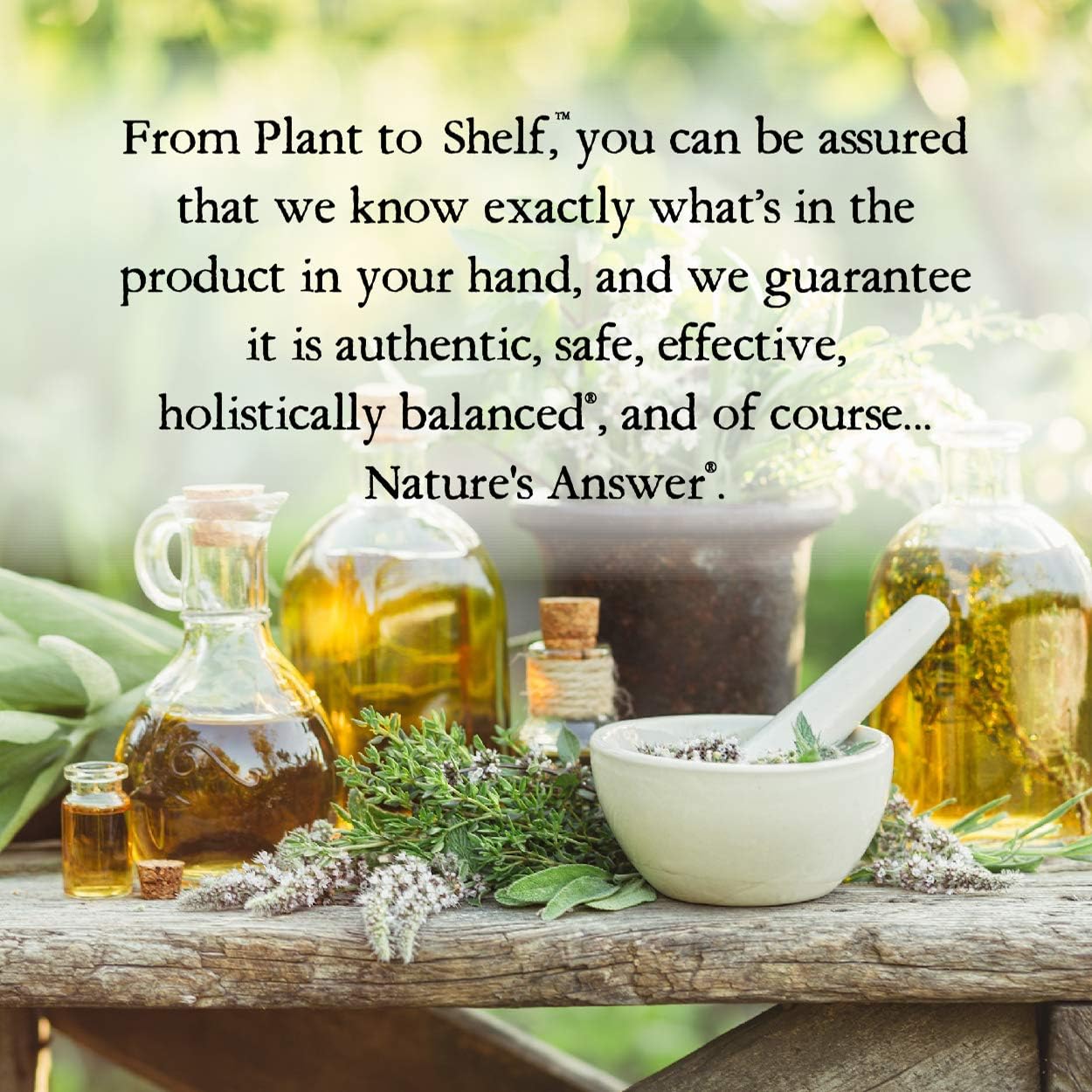 PERIOBRITE Activated Charcoal Toothpaste (Pack of 3) 4 oz. Nature's Answer Tooth Whitening, Plaque Removing, Peppermint Flavored Stain Remover | Fluoride Free