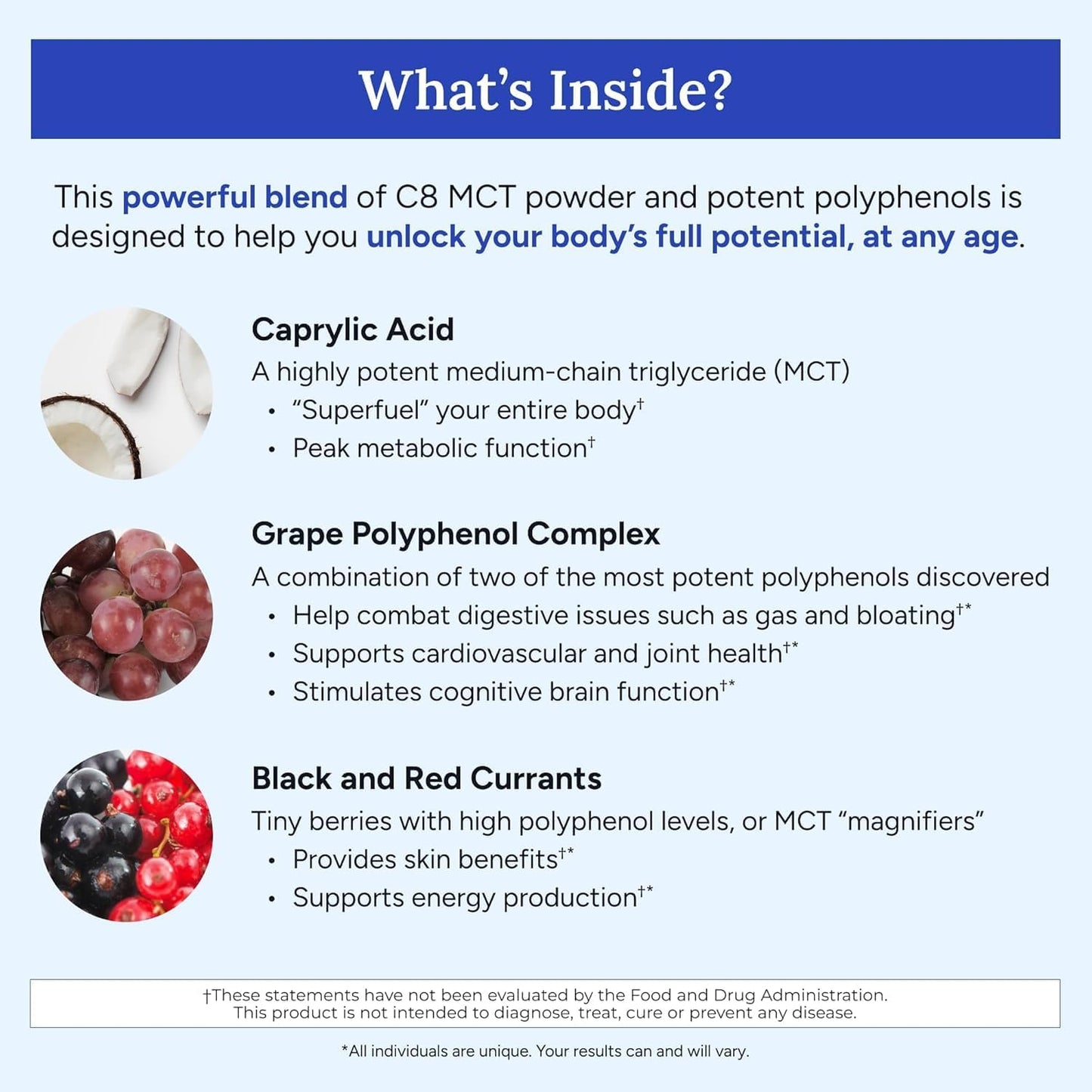 Gundry MD MCT Wellness Powder to Support Energy, Ketone Production and Brain Health, Keto Friendly, Sugar Free (90 Day Supply, Watermelon Lemonade)