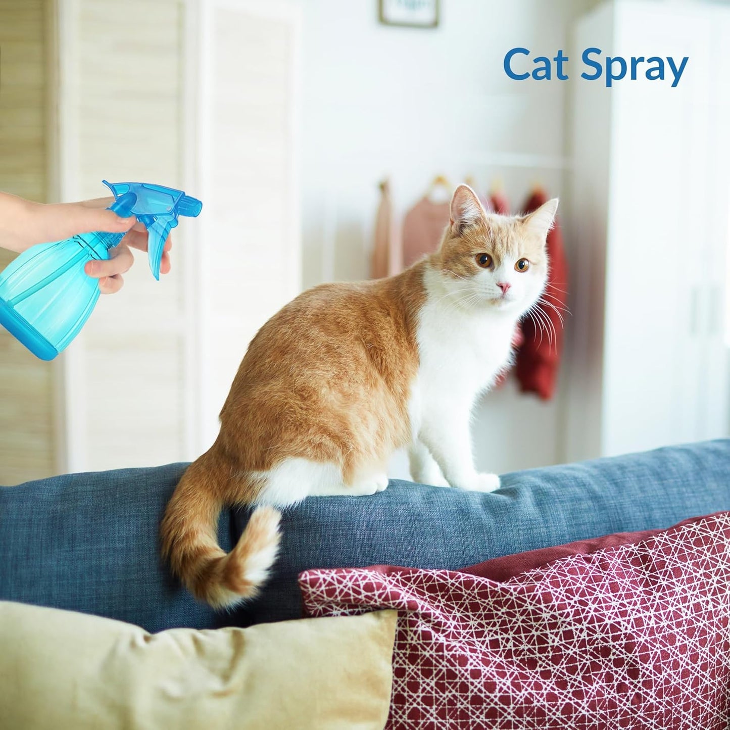 DilaBee Blue Spray Bottle (1-Pack 12 Oz) - Adjustable Nozzle Water Spray Bottle for Hair, Plants, Cleaning Solutions, BBQ. Plant Sprayer, Hair Mister, Squirt Bottles for Liquids - Food-Safe BPA-Free