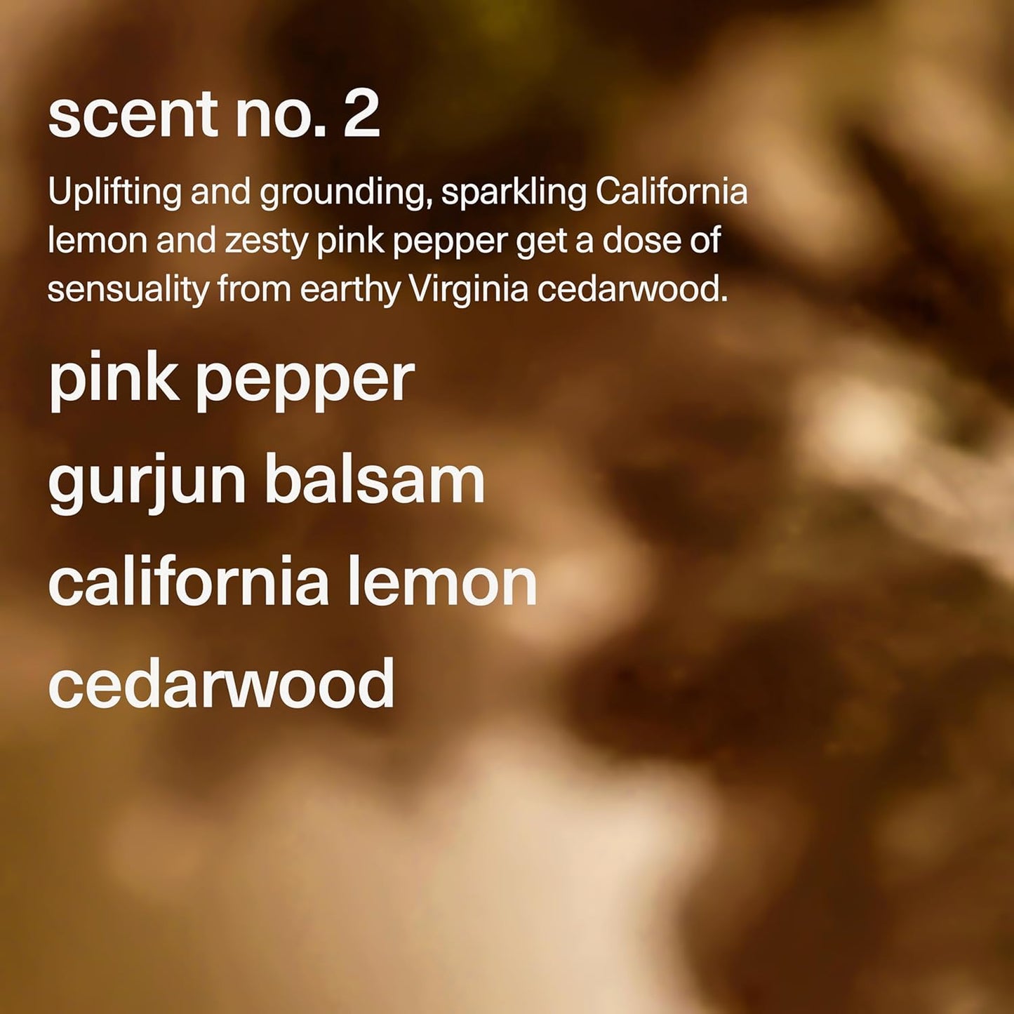 Maude Wash No. 2 - pH Balanced Moisturizing Body Wash & Bubble Bath - With Vitamin C & E for Whole-Body Skin & Feminine Care - Skin-Softening Shower Gel - Pink Pepper, Lemon & Cedarwood (12 fl oz)