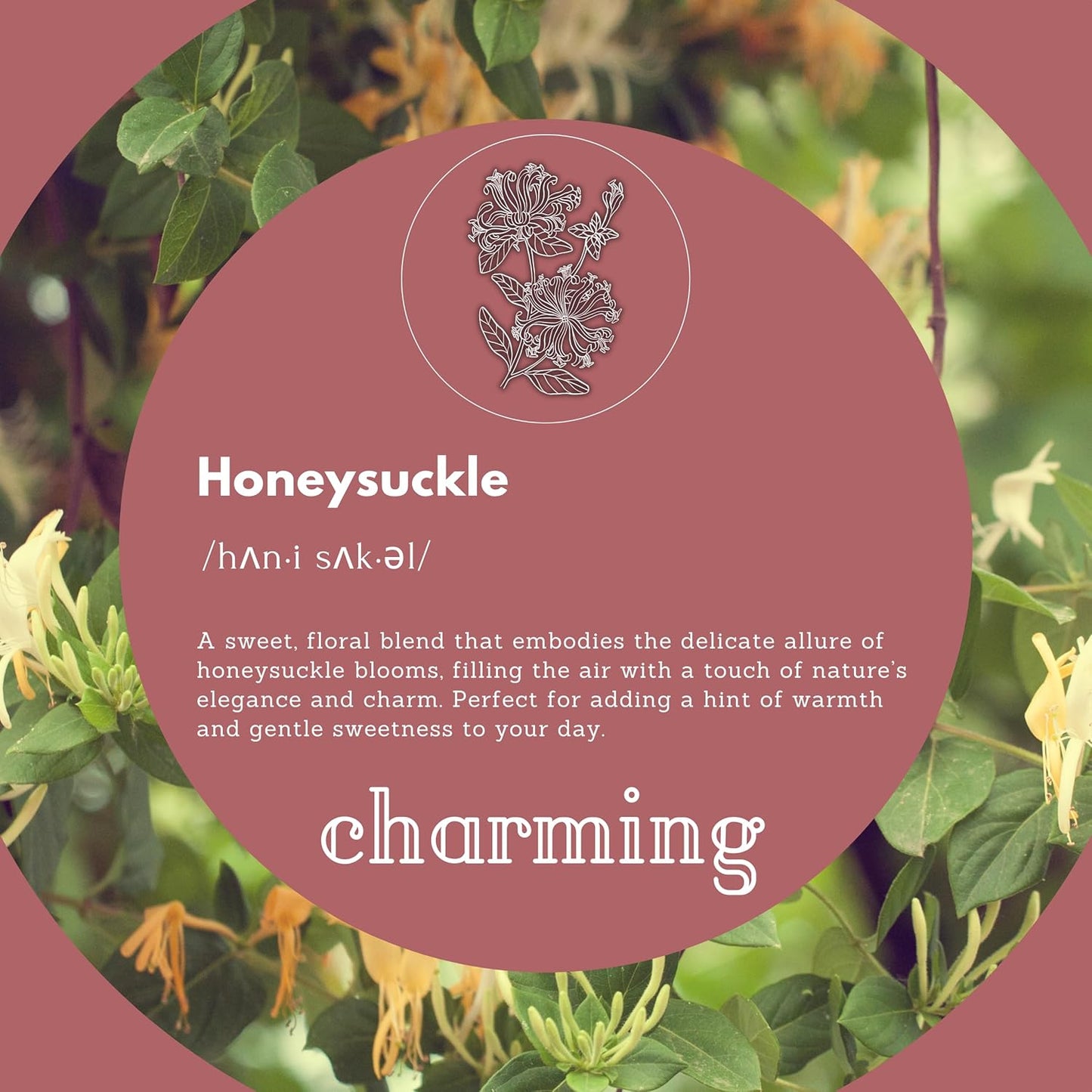 Foaming Hand Soap Refills made with Essential Oils | Honeysuckle | Gentle, Moisturizing | Made in USA | 128 Fl Oz (1 Gallon)