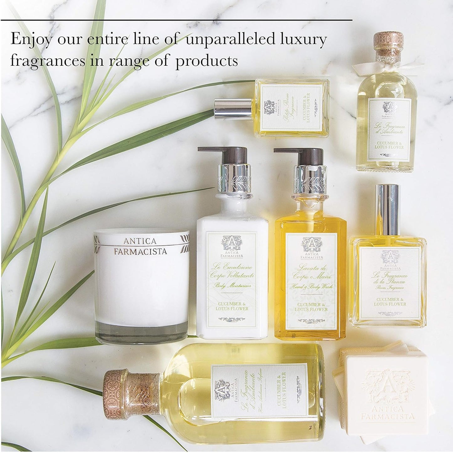 Antica Farmacista Hand & Body Wash - Luxury Nourishing Body Wash - Hydrating Hand Cleansing Wash - Bath & Body Gift - Prosecco, 10 fl oz