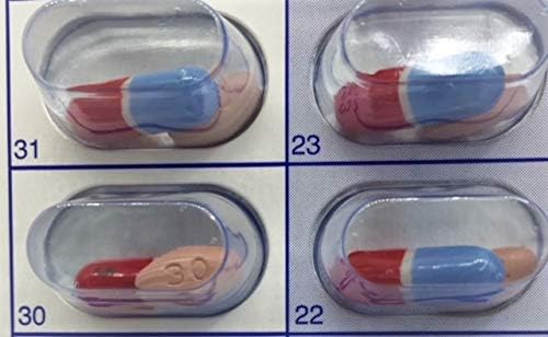 24 Cards 24 Blisters for 31 Day Monthly Cold Seal Pill Storage, Summer Camps, Pharmacists, Cargivers (24)