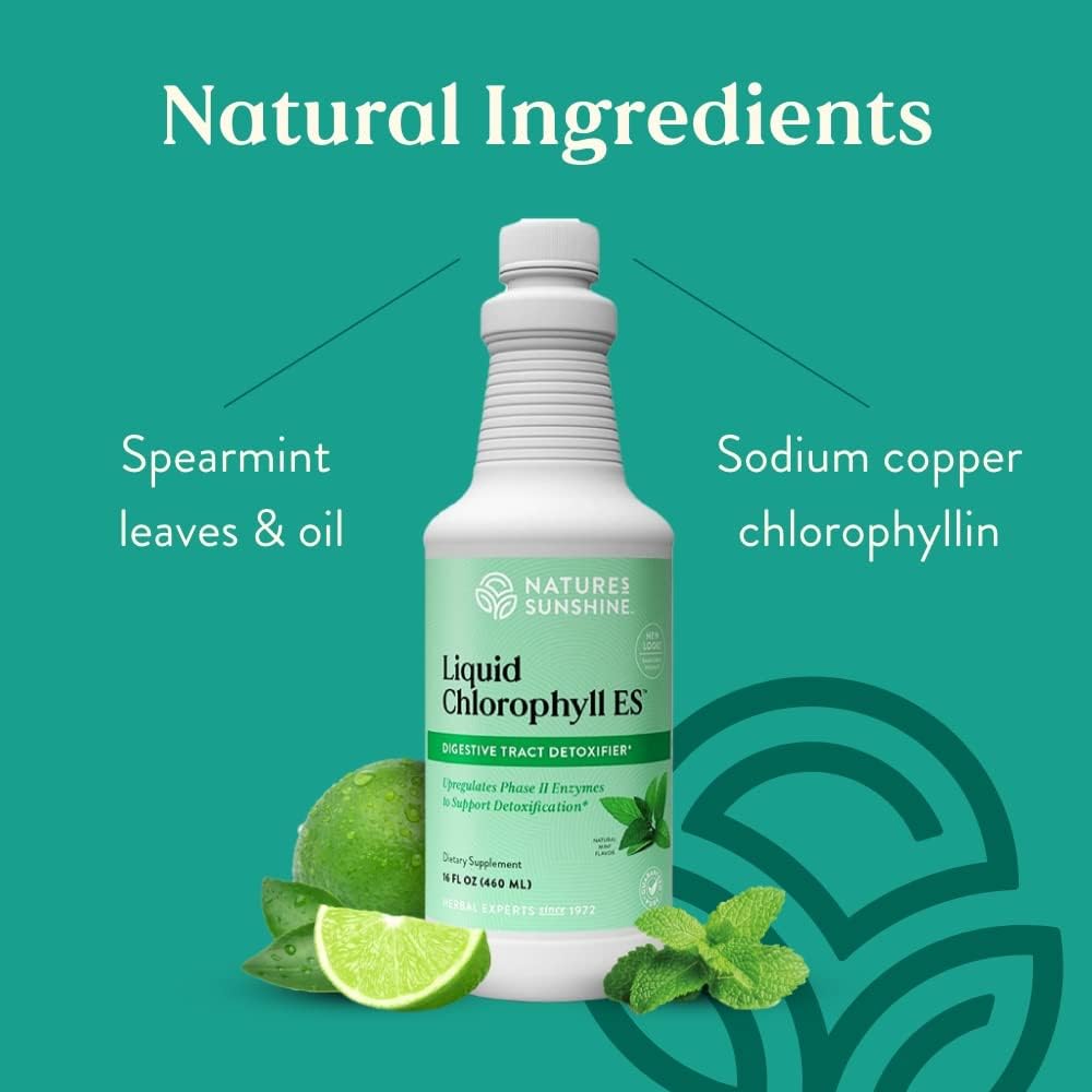Nature's Sunshine Liquid Chlorophyll - Immunity Support, Detox & Cleanse, Chlorophyll Liquid Drops with Spearmint Oil, and Internal Deodorant (Original, 32 Fl Oz)