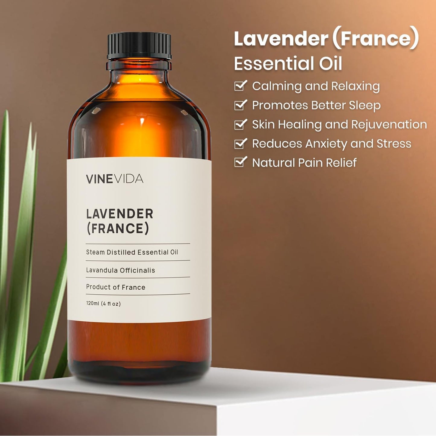VINEVIDA Lavender France Undiluted Essential Oil 4 oz - Pure, Natural, and Raw Lavender Oil for DIY Candle Scents and Soap Making - Safe for Skin - Vegan and Cruelty Free