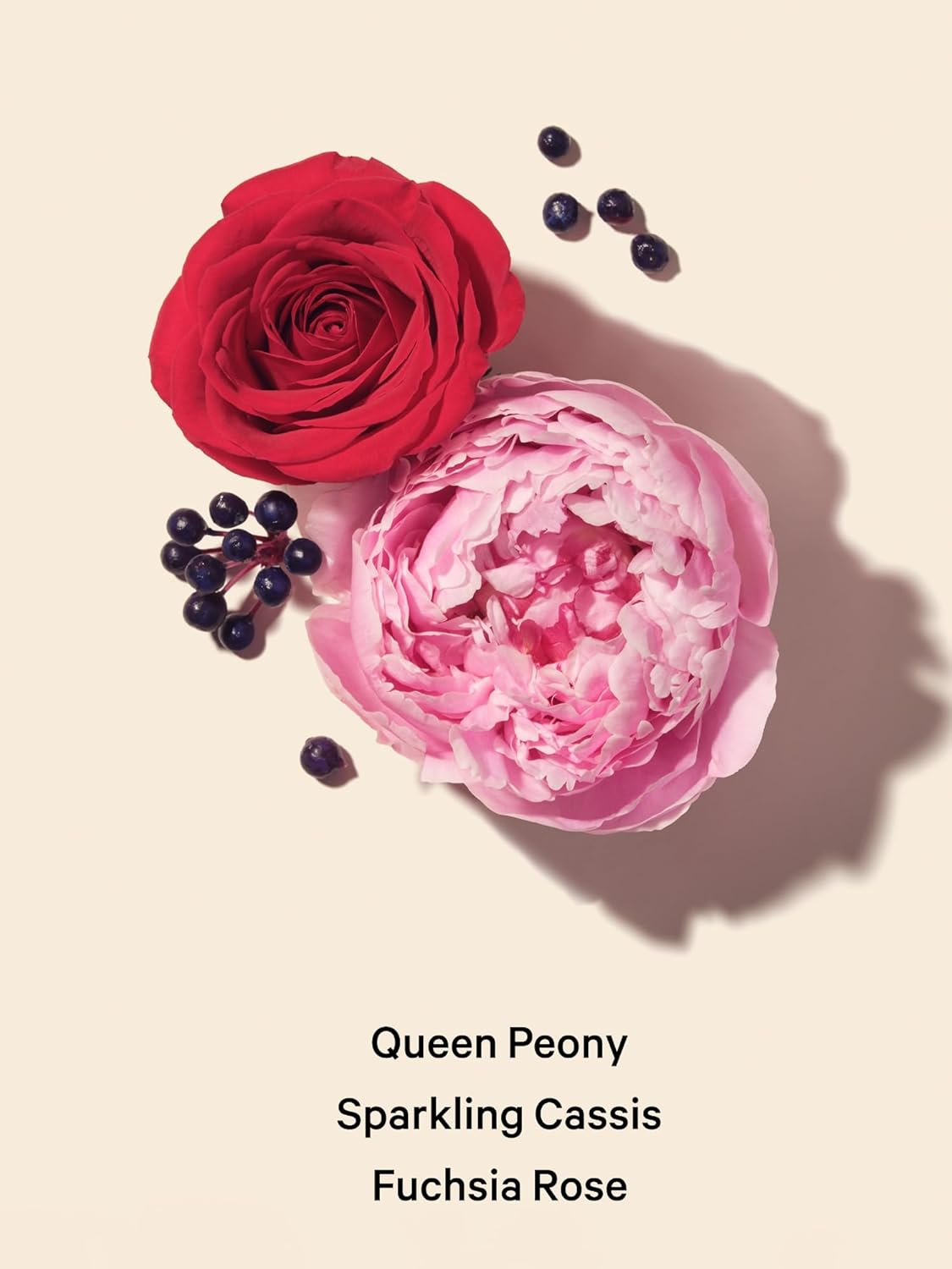 Victoria's Secret Bombshell Passion Fine Fragrance 8.4oz Mist