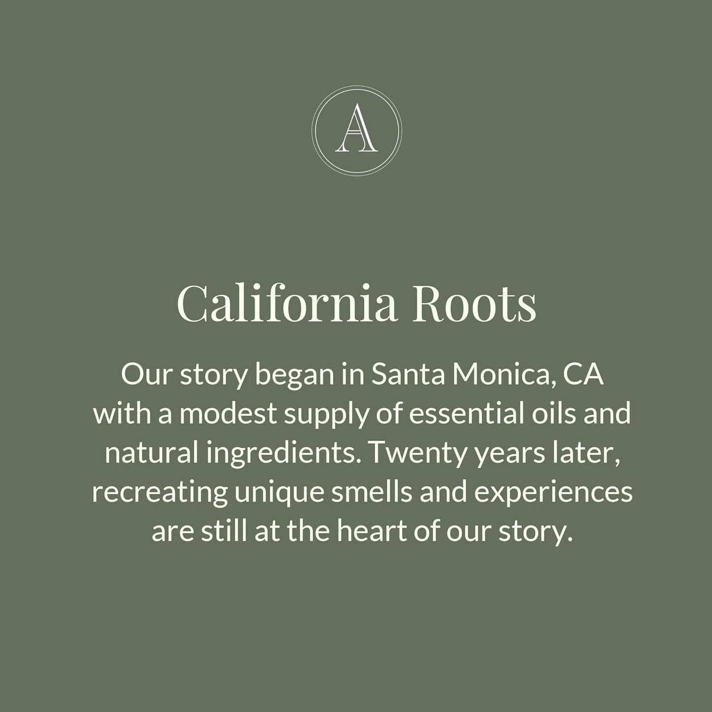 Archipelago Botanicals Soy Milk Lotion for Rehydration and Regeneration, Soy Body Lotion and Moisturizer for Dry or Sensitive Skin, Paraben-Free, Phthalate-Free, 18 oz