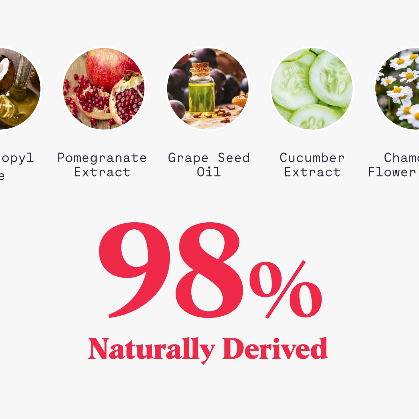 Whole-Body Deodorant Wipes for Men & Women- Body Wipes for Sweat & Odor Control, Use for On-the-Go Cleansing, Gym Sessions, Travel, or Rinse-Free Shower Alternative - Aqua Scent, Pack of 1