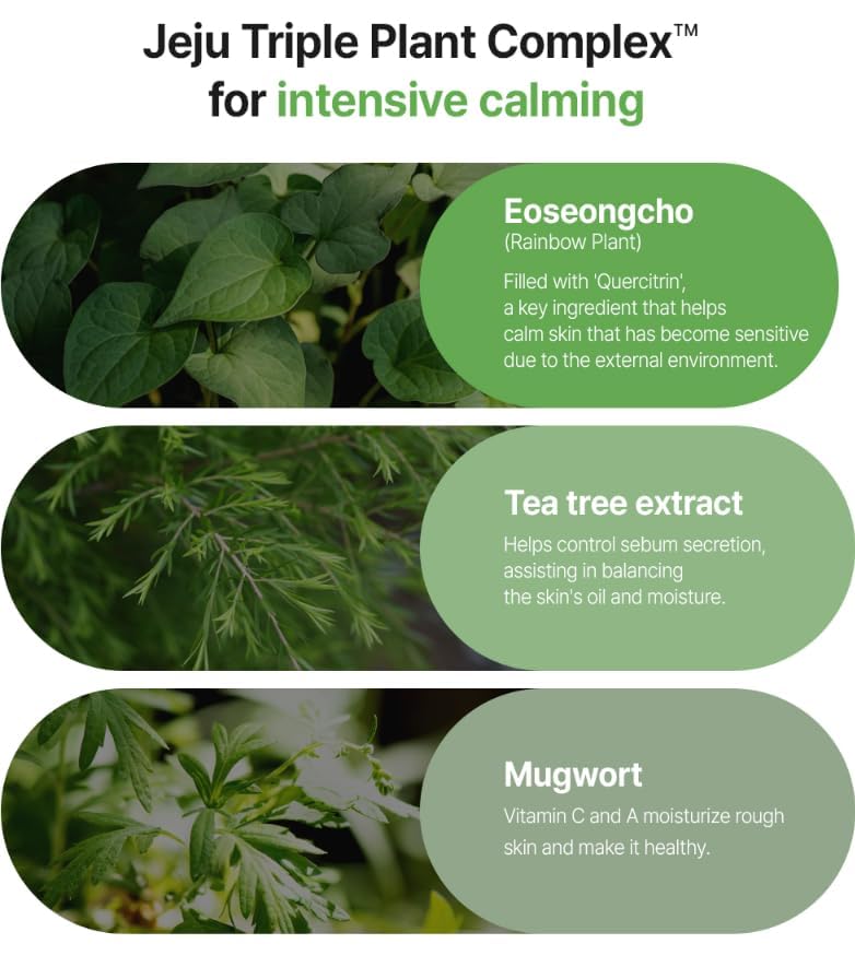 Fation Real Fit Mask, 5 Pack (Heartleaf Calming)