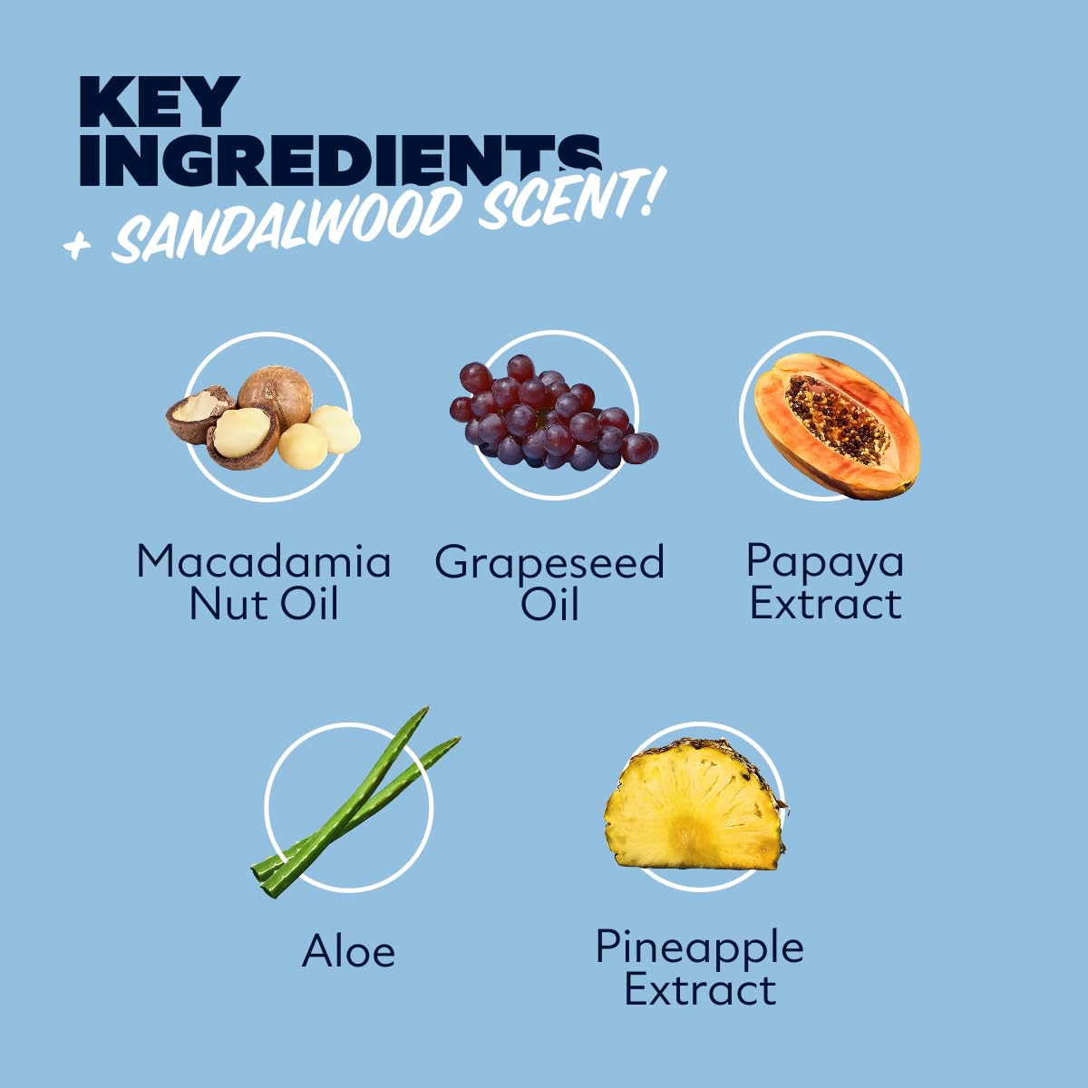 Dollar Shave Club | Shave Butter 6 ounce (2 Pack) Sandalwood | Translucent Shaving Cream for Sensitive Skin