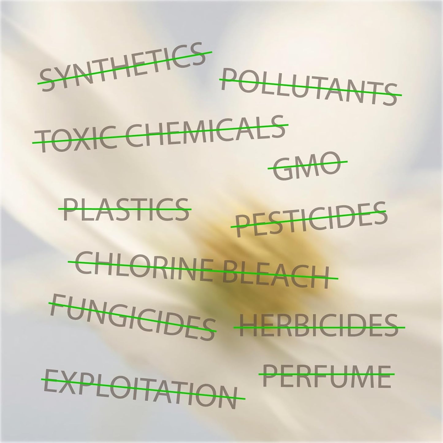 Oi | Organic Initiative - 100% Certified Organic Cotton Non-Applicator Tampons | Ultra-Absorbent, Unscented, Natural, Non-Toxic, Applicator Free | Super Plus | 56 Tampons