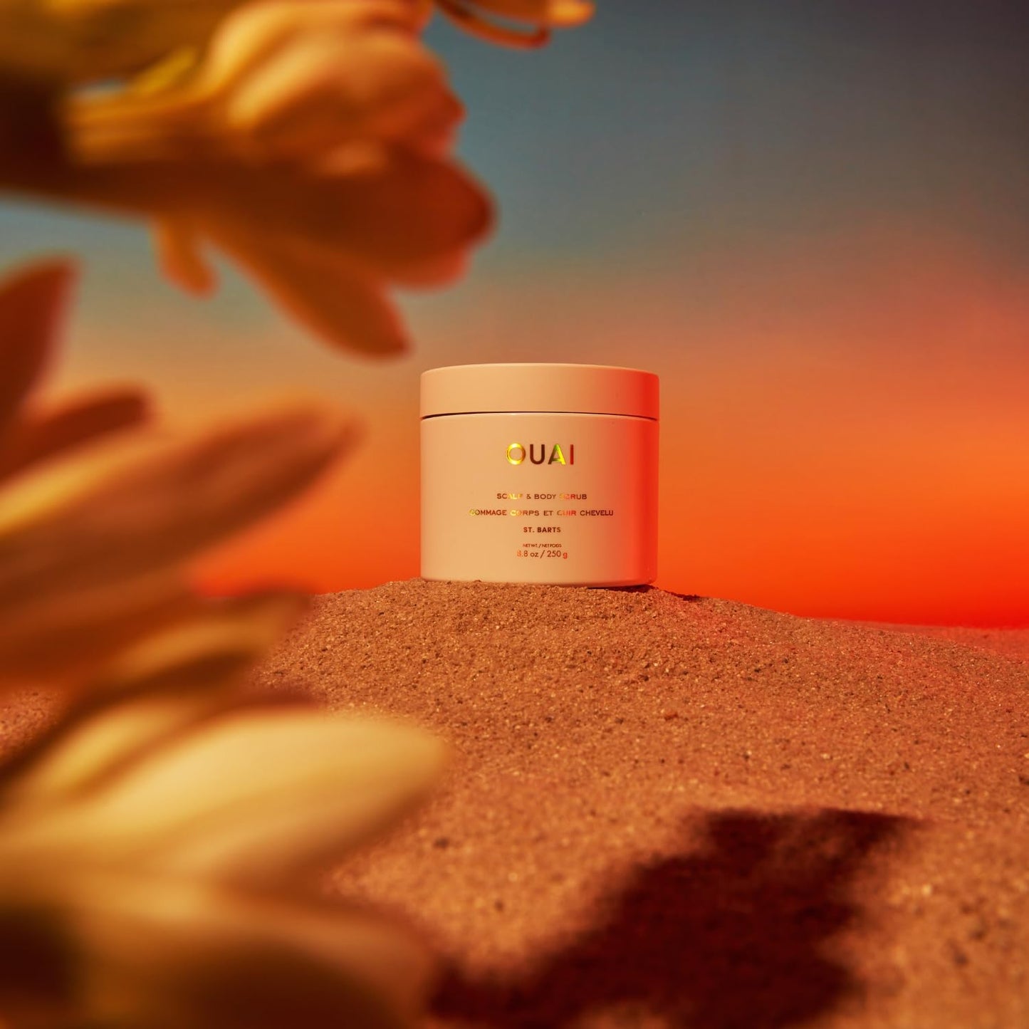 OUAI Scalp & Body Scrub, St. Barts - Exfoliating Body Scrub with Sugar & Coconut Oil Blend for Smooth, Moisturized Skin - Gentle Scalp Exfoliator for Removing Product Build Up (8.8 Oz)