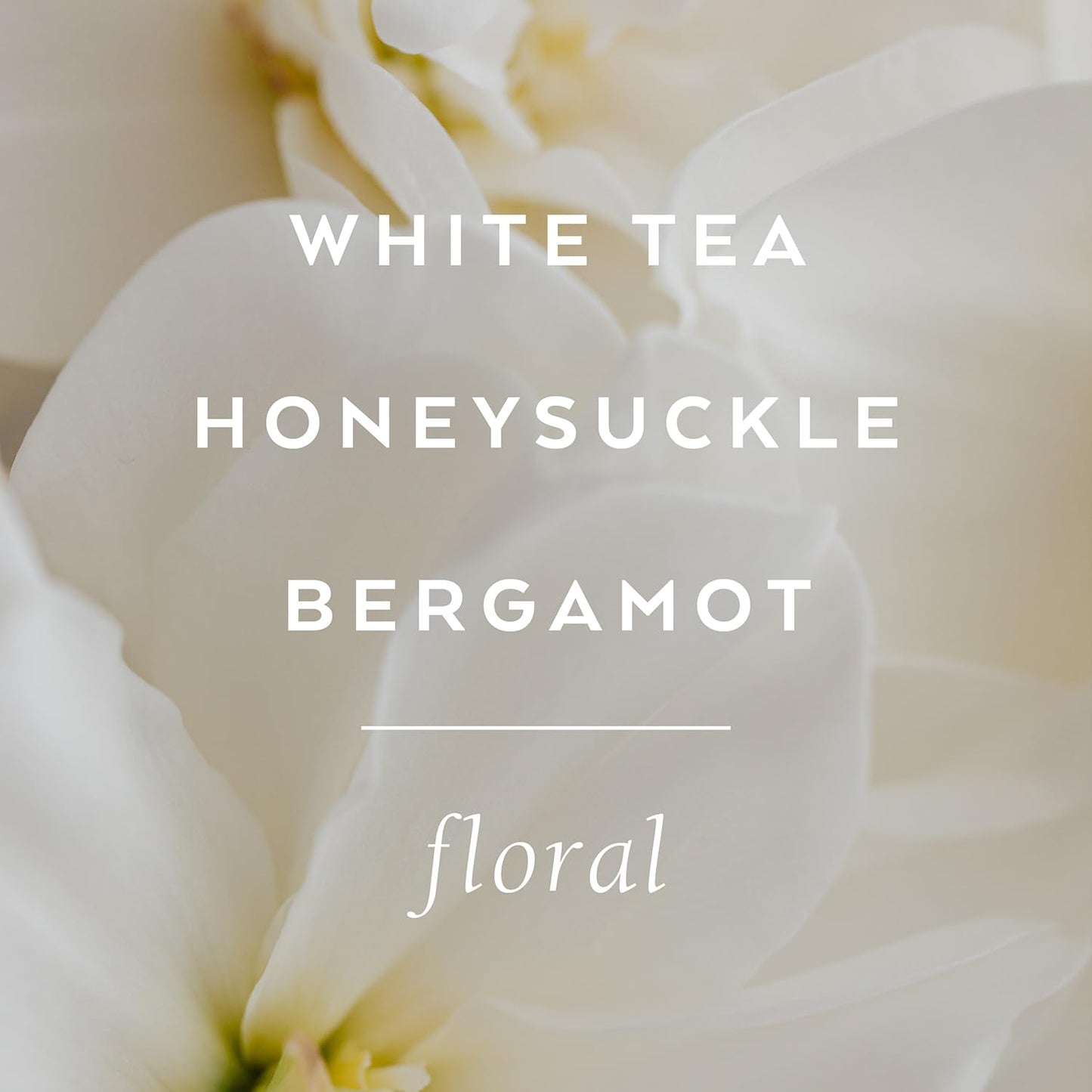 LOLLIA Dream Shower Gel, 8 fl oz, White Tea & Honeysuckle, Luxury Shea Moisture Hydrating Women's Body Wash, Delicate & Relaxing Scented Bath Soap for Self Care