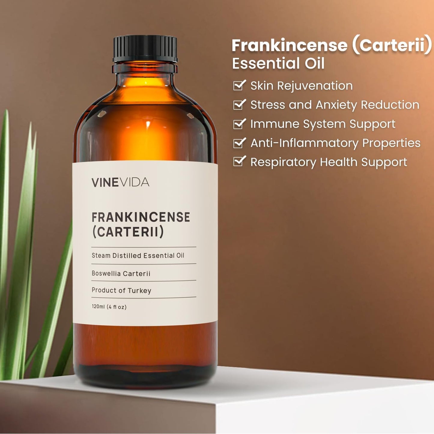 VINEVIDA Frankincense Essential Oil 4 oz - Undiluted Carterii Oil for Candlemaking - DIY Candle Scents
