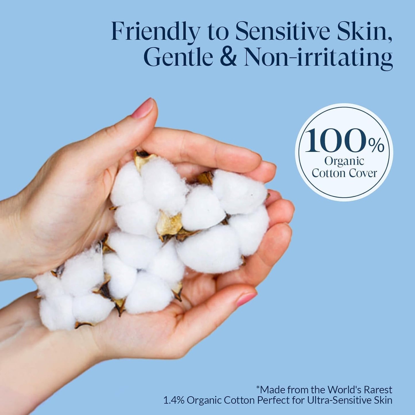 100% Organic Panty Liners for Women-240ct, Ultra Thin Cotton Cover, Regular Pantiliners, Light Absorbency, Unscented Barely There Pantie Liners (Regular Liner, Size 1, 240ct)