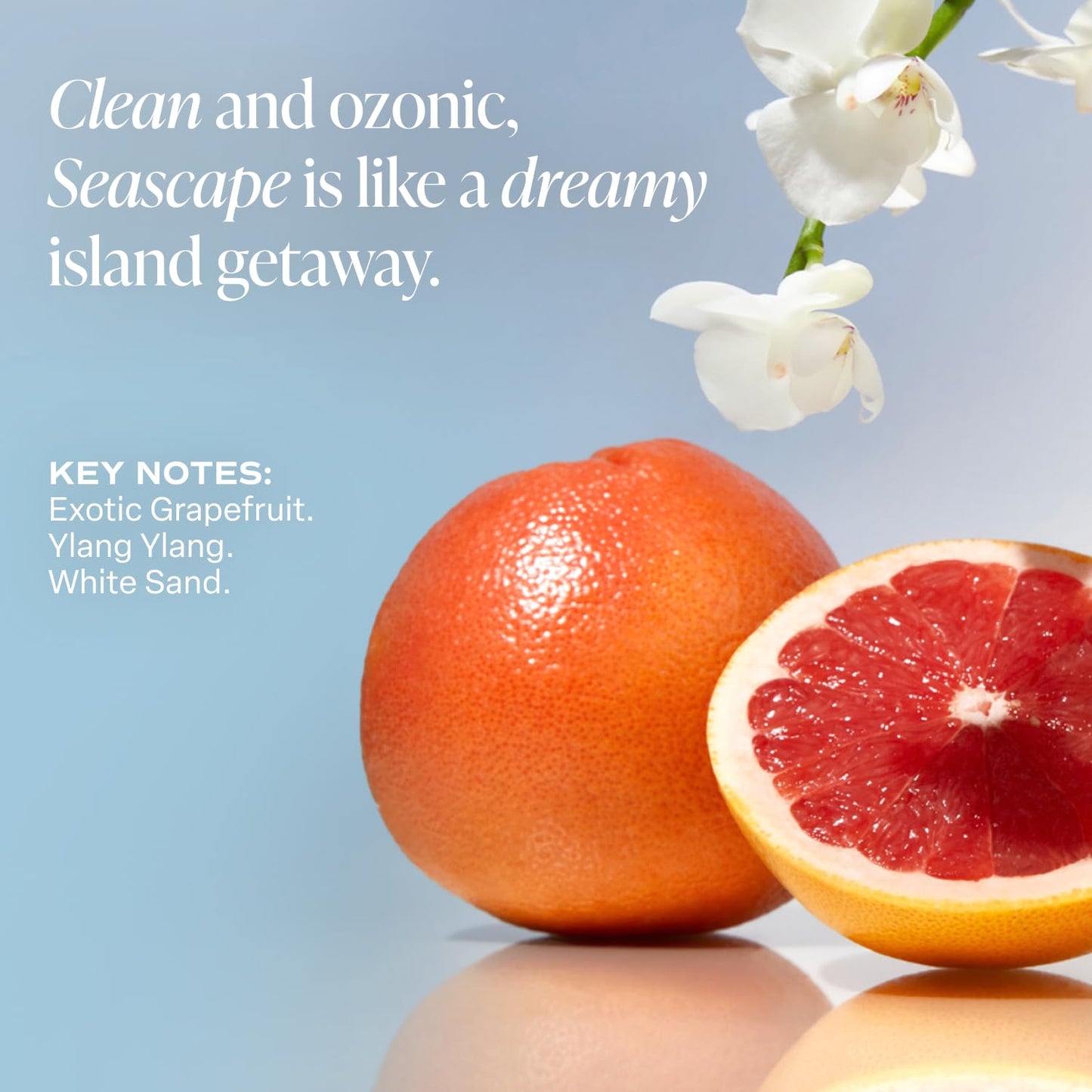 Saltair Body Lotion - 2 Pack Moisturizing Lotion For Dry Skin. Seascape Scented Hydrating Body Cream with Nourishing Moisturizer Formula. Skin Care for Women and Men. 2x 10oz Tubes