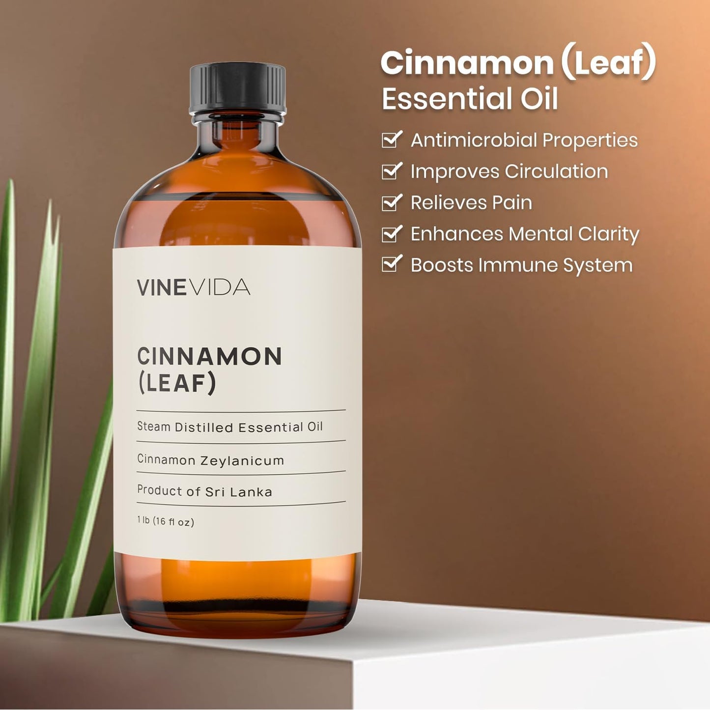 VINEVIDA Cinnamon Leaf Essential Oil 16 oz Undiluted - Pure, Natural, Vegan, and Sustainable