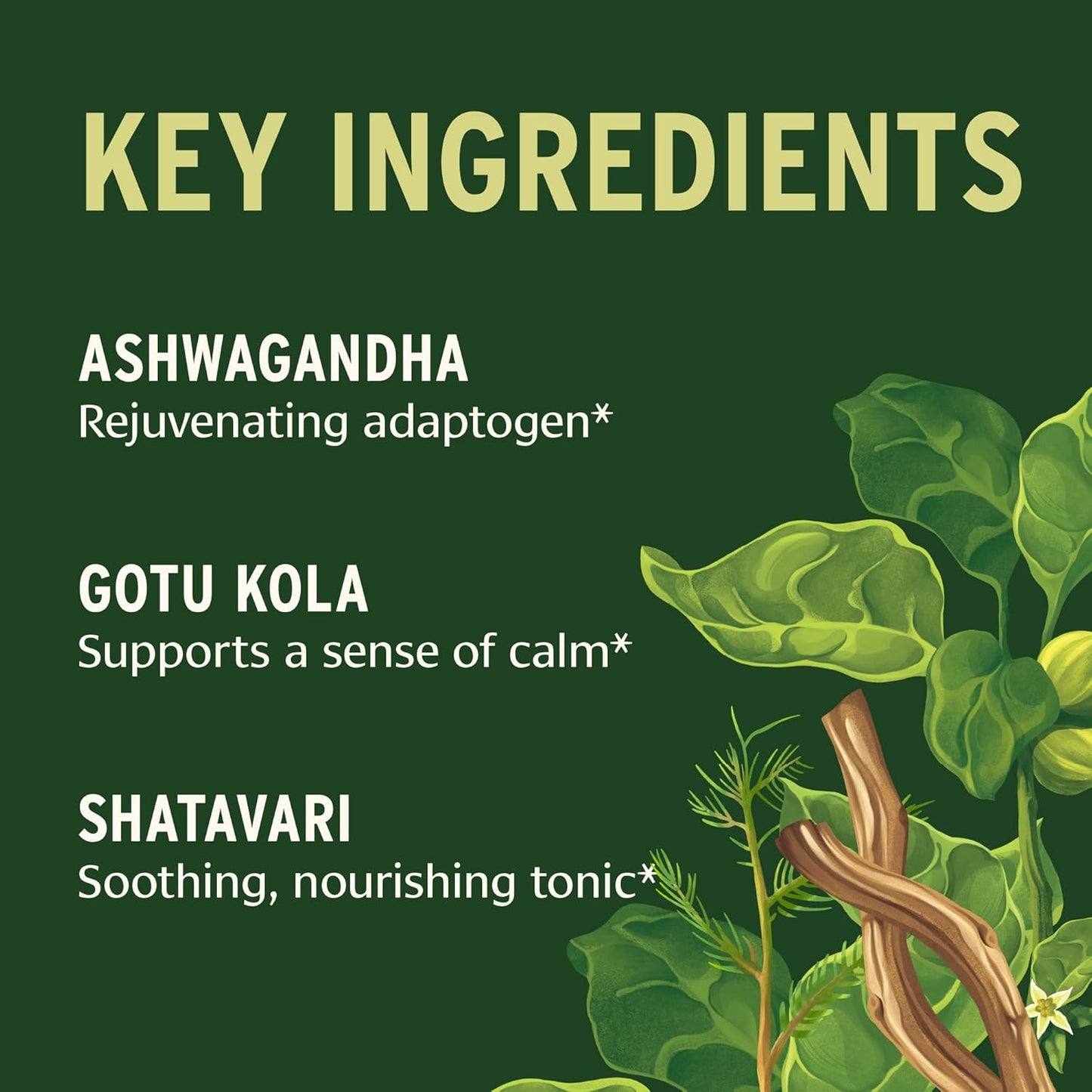 Banyan Botanicals Stress Ease – Organic Herbal Supplement for Stress & Fatigue* – with Ayurvedic Adaptogen Ashwagandha (Withania somnifera) Root – 90 Tablets – Non-GMO Sustainably Sourced Vegan