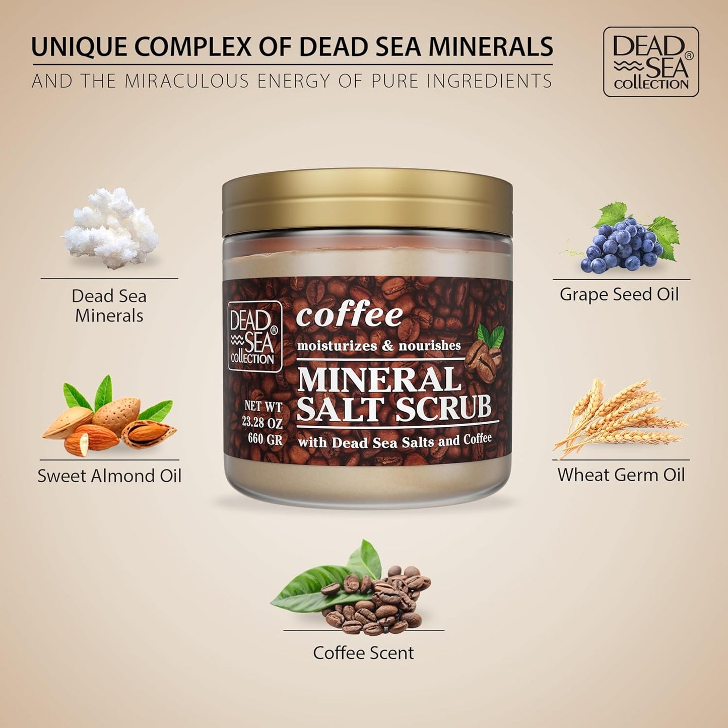 Dead Sea Collection Coffee Scented Salt Body Scrub - Large 23.28 OZ - with Pure Oils and Dead Sea Minerals