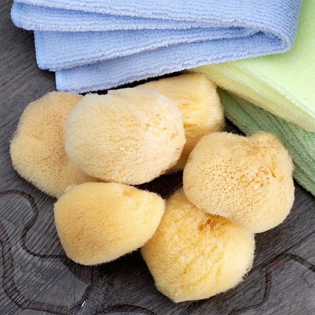 Sea Silk Sponge 6pc Kit, Hand Cut, Small, Approx. 1-2 inches, Ideal for Cosmetic Use and Facial Cleansing
