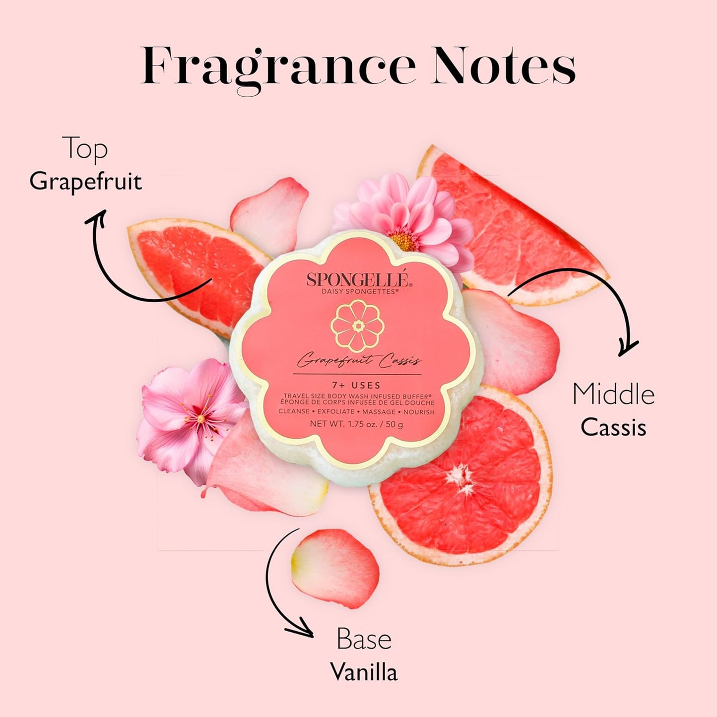 Spongelle Grapefruit Cassis Spongette Loofah Body Scrubber | Bath & Shower Loofah for Women | Body Scrubber Exfoliator with Body Wash Infused Sponge | 5+ uses | Zesty Grapefruit, Cassis & Vanilla