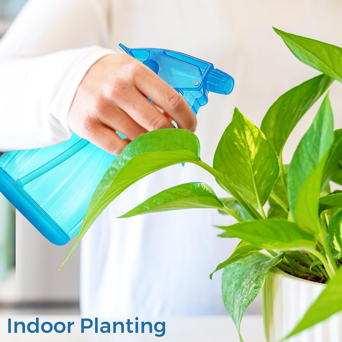 DilaBee Blue Spray Bottle (1-Pack 12 Oz) - Adjustable Nozzle Water Spray Bottle for Hair, Plants, Cleaning Solutions, BBQ. Plant Sprayer, Hair Mister, Squirt Bottles for Liquids - Food-Safe BPA-Free