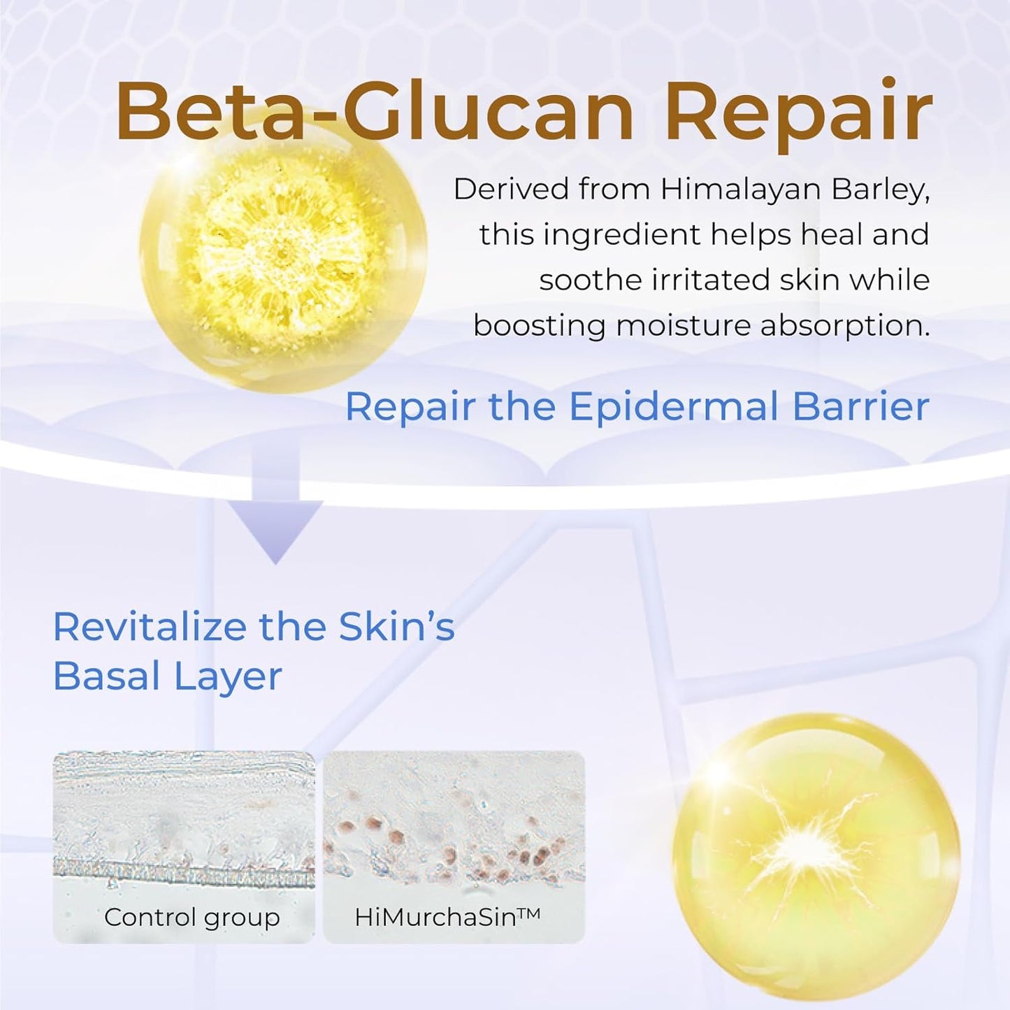 2-Step Ferment & Niacinamide Repairing Ampoule Mask (1.5ml+33mlx5PCS) - Hydrating Mask with Ferment for Skin Recovery and Redness Reduction