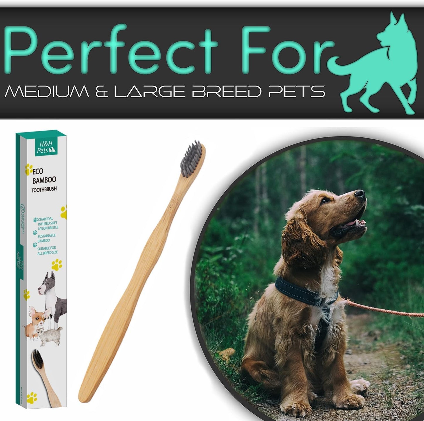 H&H Pets Bamboo Toothbrush Set for Dogs and Cats - Ultra Soft Bristles & Biodegradable Wooden Toothbrush, Puppy Supplies, Dog Dental Set, Eco-Friendly Pet Supplies (Large; 3-Count Pack)
