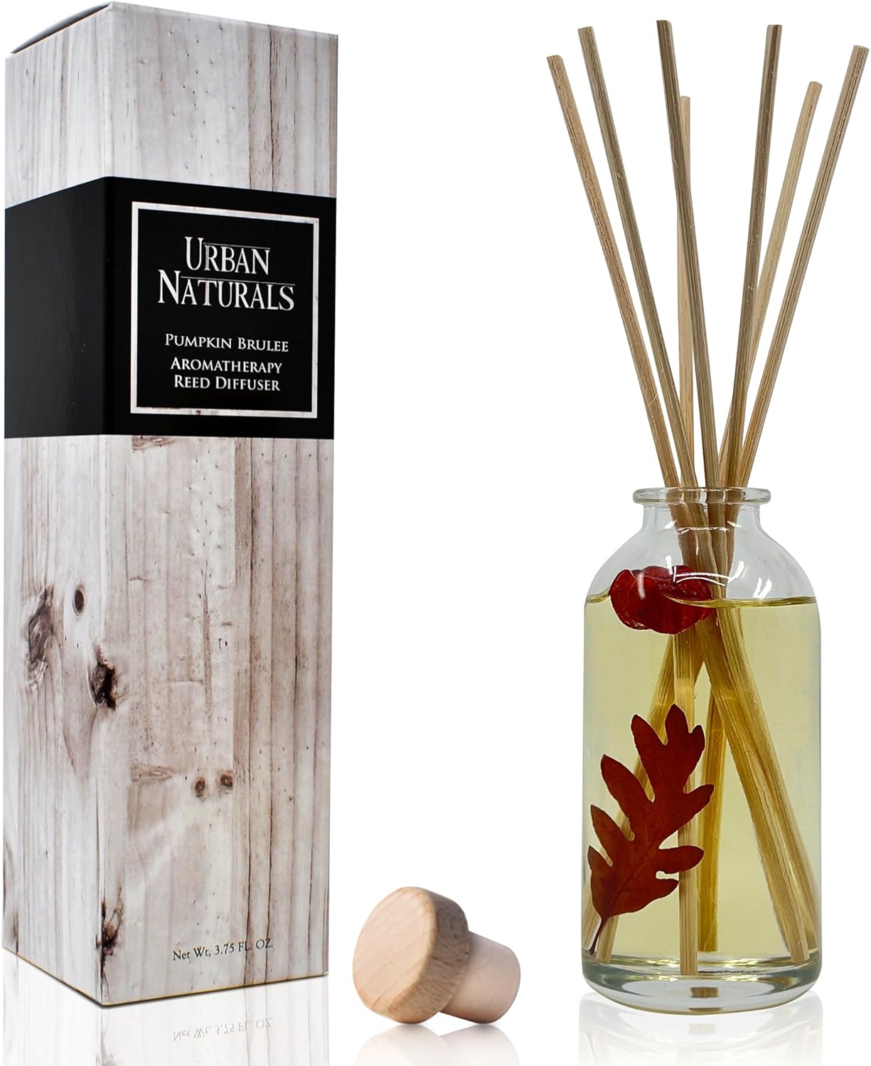 Urban Naturals Pumpkin Brulee Scented Sticks Reed Diffuser Oil Set | Fall & Winter Home Scent | Creamy Pumpkin Pie, Nutmeg & French Vanilla | Beautiful Autumn Home Decor | Great Gift Idea