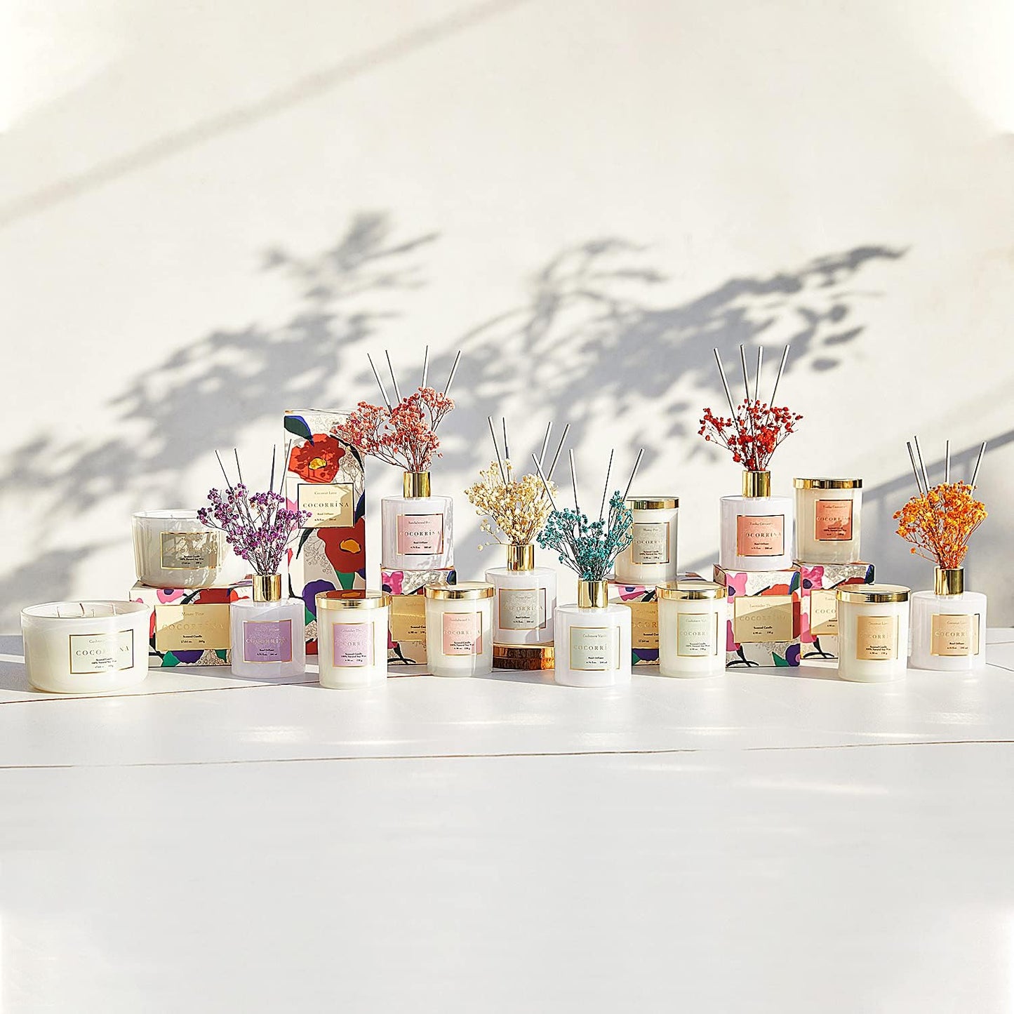 Cocorrína Premium Reed Diffuser Set with Preserved Baby's Breath & Cotton Stick Coconut Lime | 6.7oz Scent Fragrance Oil Diffuser for Bedroom Bathroom Home Décor