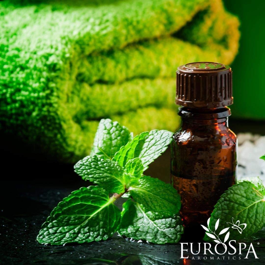 EuroSpa Aromatics Pure Eucalyptus Oil ShowerMist and Steam Room Spray, All-Natural Premium Aromatherapy Essential Oils - Mint Infused, 2oz