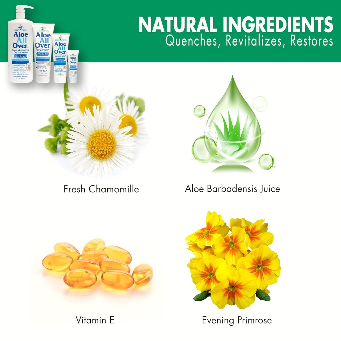 Miracle of Aloe Aloe All Over Super Moisturizing Dry Skin Lotion 32 oz - Made with 72% UltraAloe Aloe Vera Gel. Safe for Everyone: Men, Women, Kids. Restores Dry Skin Fast