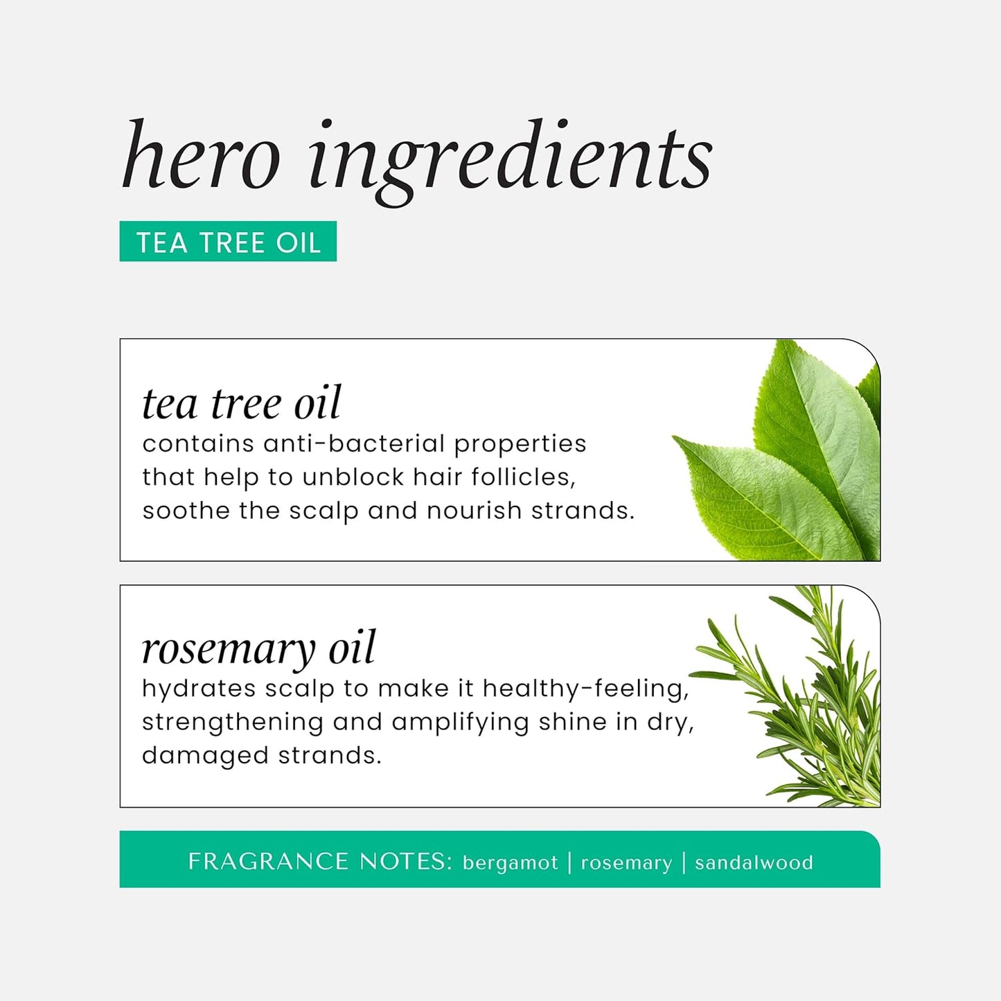 HASK Tea Tree Oil & Rosemary Invigorating Shampoo + Conditioner Set | Refreshes Scalp, Soothes, Sulfate-Free, Paraben-Free, Gluten-Free, Color Safe | 12oz each