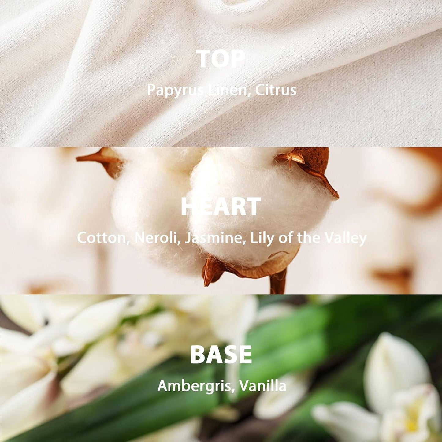 Reed Diffuser Set, 3.52 oz (100ml) Scented Diffuser with Sticks Home Fragrance Reed Diffuser for Bathroom Shelf Decor, Ideal Gift for Woman (White Cotton)