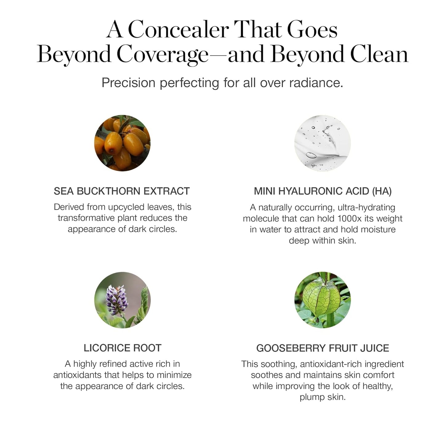 Ogee Complexion Perfecting Under Eye Concealer - Certified Organic Full Coverage Concealer - Buildable Coverage - CEDAR 1.20C - Light (Pink-Beige Undertones)