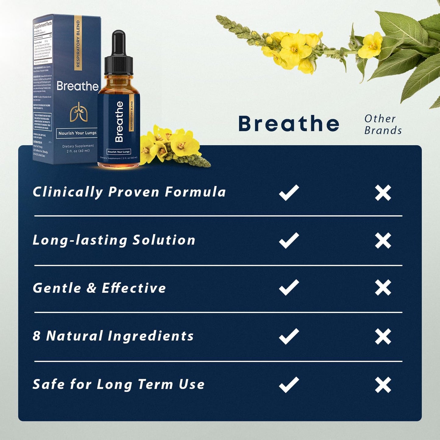 BREATHE 8-IN-1 Mullein Drops for Lungs & Airways (1 fl. oz.): Peppermint, Thyme, & Mullein Leaf Extract for Lungs Detox for Smokers - Break up Mucus & Breathe Clear - GMO-Free & Made in USA