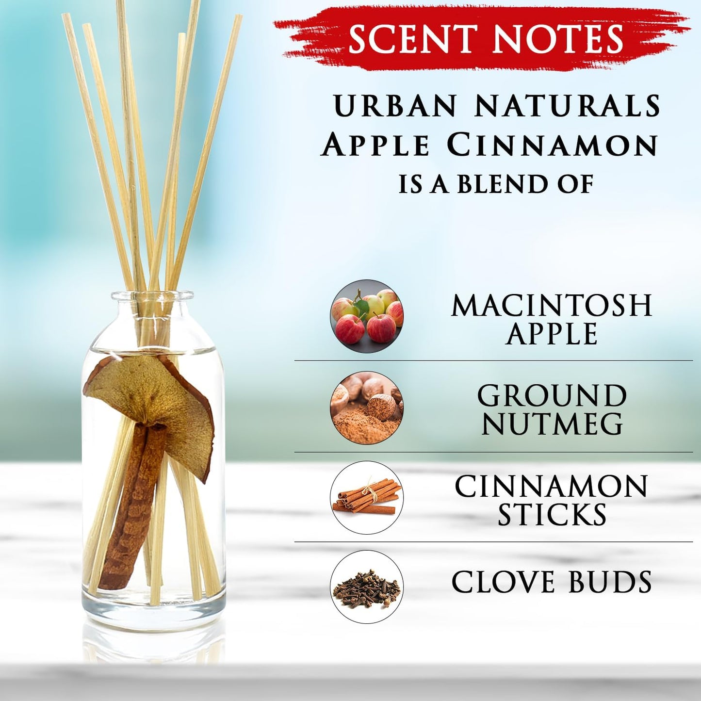 Urban Naturals Apples & Spice Apple Cinnamon Reed Diffuser Oil Set – Red Apple, Cinnamon, Nutmeg Clove & Vanilla Scented Diffusing Reed Sticks – Great Fall & Holiday Scent – Made in The USA