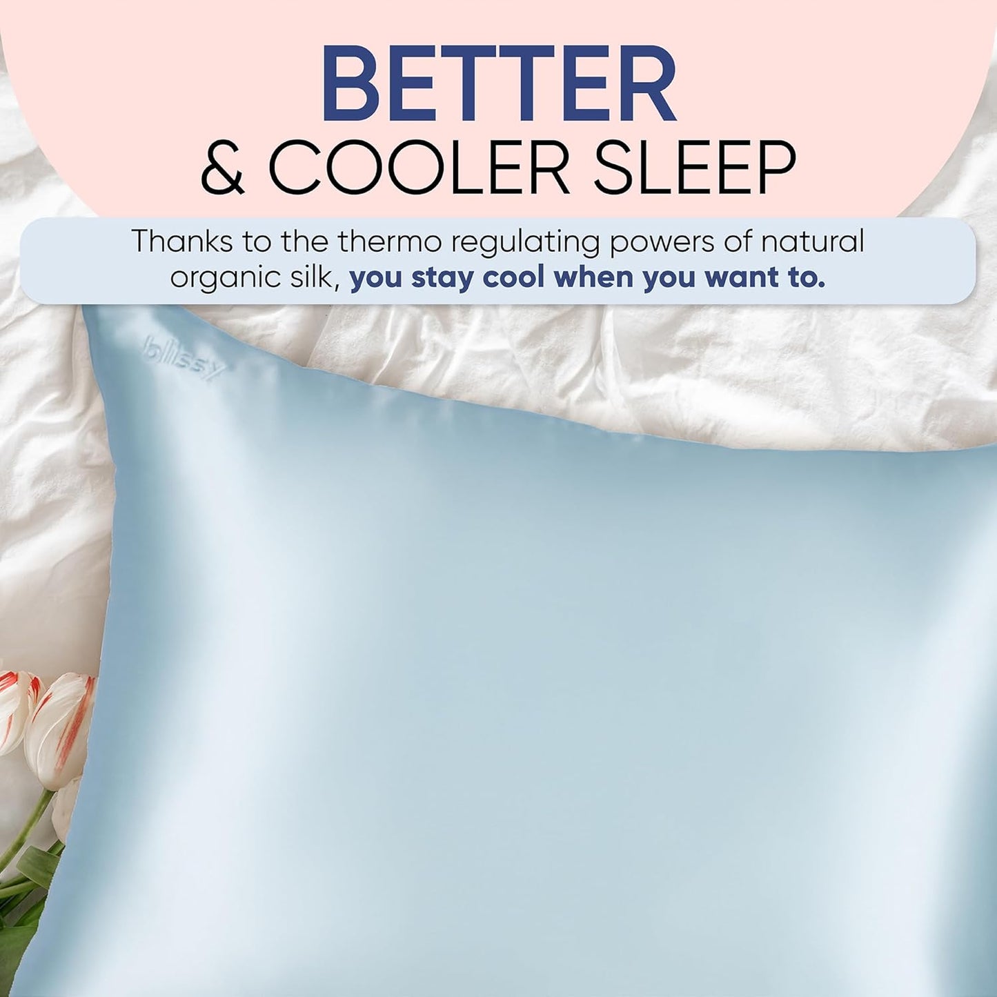 Blissy Silk Pillowcase - 100% Pure Mulberry Silk - 22 Momme 6A High-Grade Fibers - Silk Pillow Cover for Hair & Skin - Regular, Queen & King (Sky Blue, Standard)