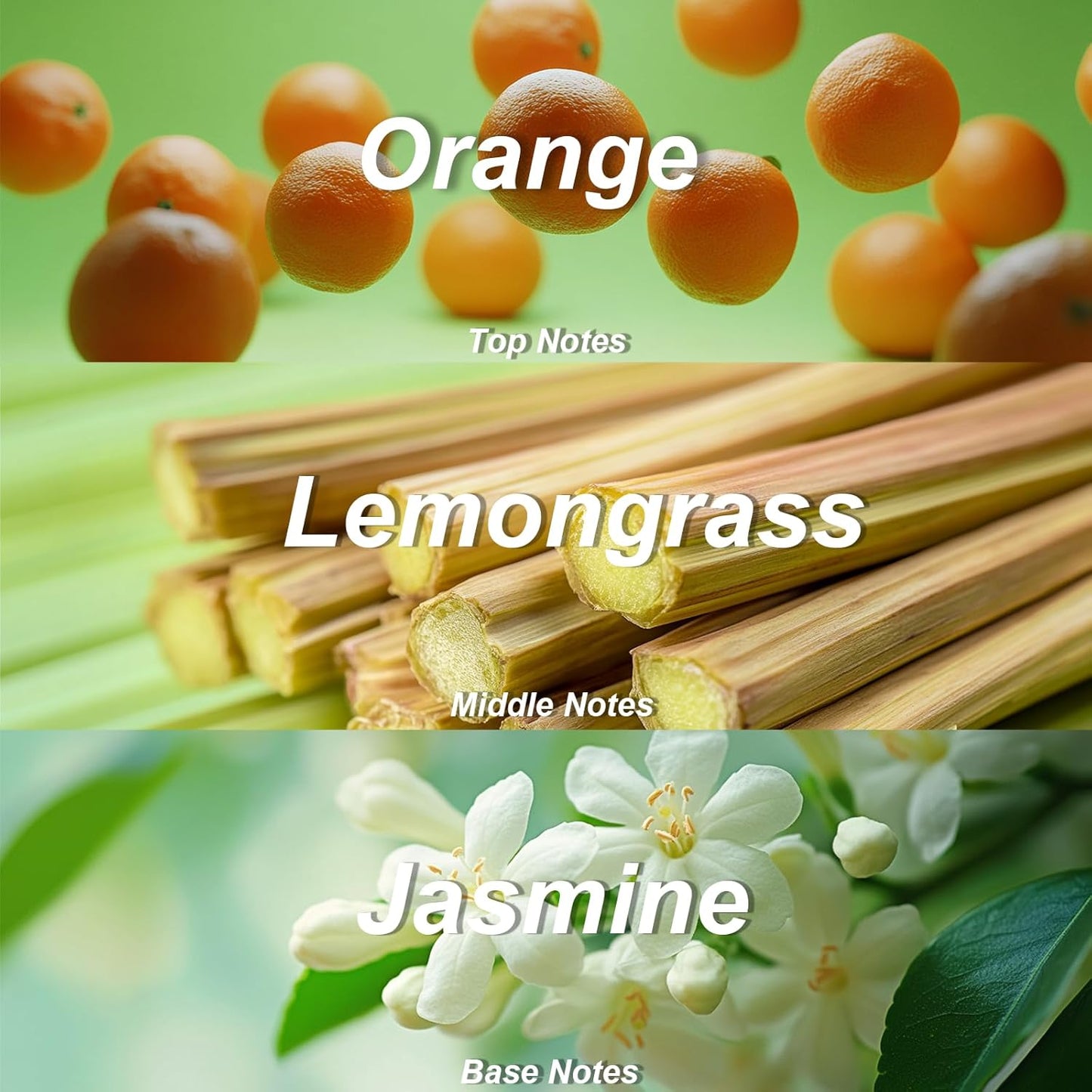 Vassili Fragrance Body Wash - Long-Lasting Aroma with Orange Blossom, Green Tea & Citrus, Hydrating & Moisturizing Formula, Gentle for All Skin Types,12.3 Fl Oz（Mystic Mist）