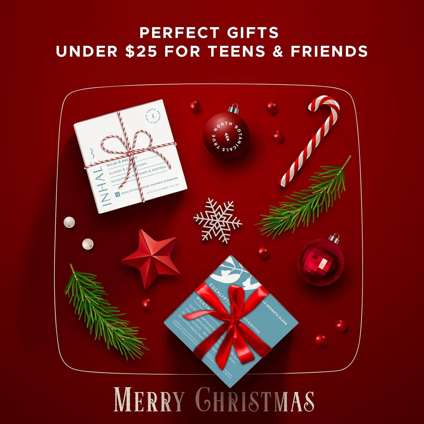 Large Shower Steamers (12 Pack - 1.75oz Each) | Variety Pack | Aromatherapy Spa Gift Set for Relaxation & Refreshment | Perfect for Men, Women, & Teens | Ideal for Christmas, Birthdays & Holidays