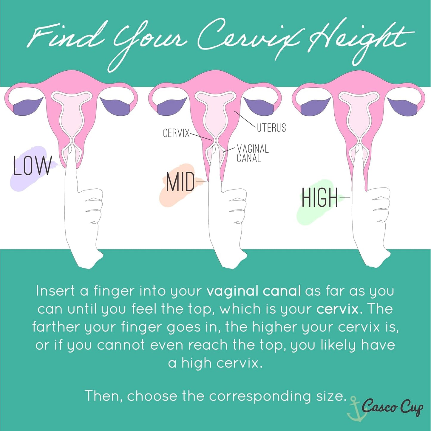 Casco Menstrual Cup & Case - Medical Grade Silicone Period Cup Made in Maine USA, Reusable Menstrual Cup. (4 Reusable Cups - Find Your Fit)