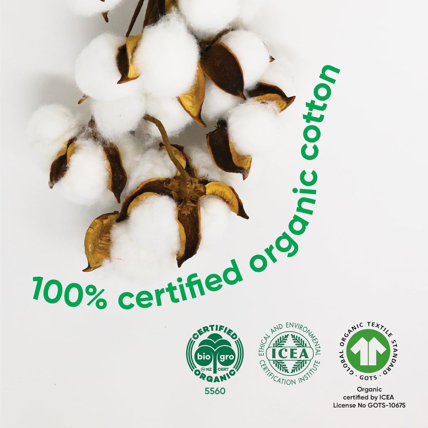 Oi | Organic Initiative - 100% Certified Organic Cotton Non-Applicator Tampons | Ultra-Absorbent, Unscented, Natural, Non-Toxic, Applicator Free | Regular | 64 Count