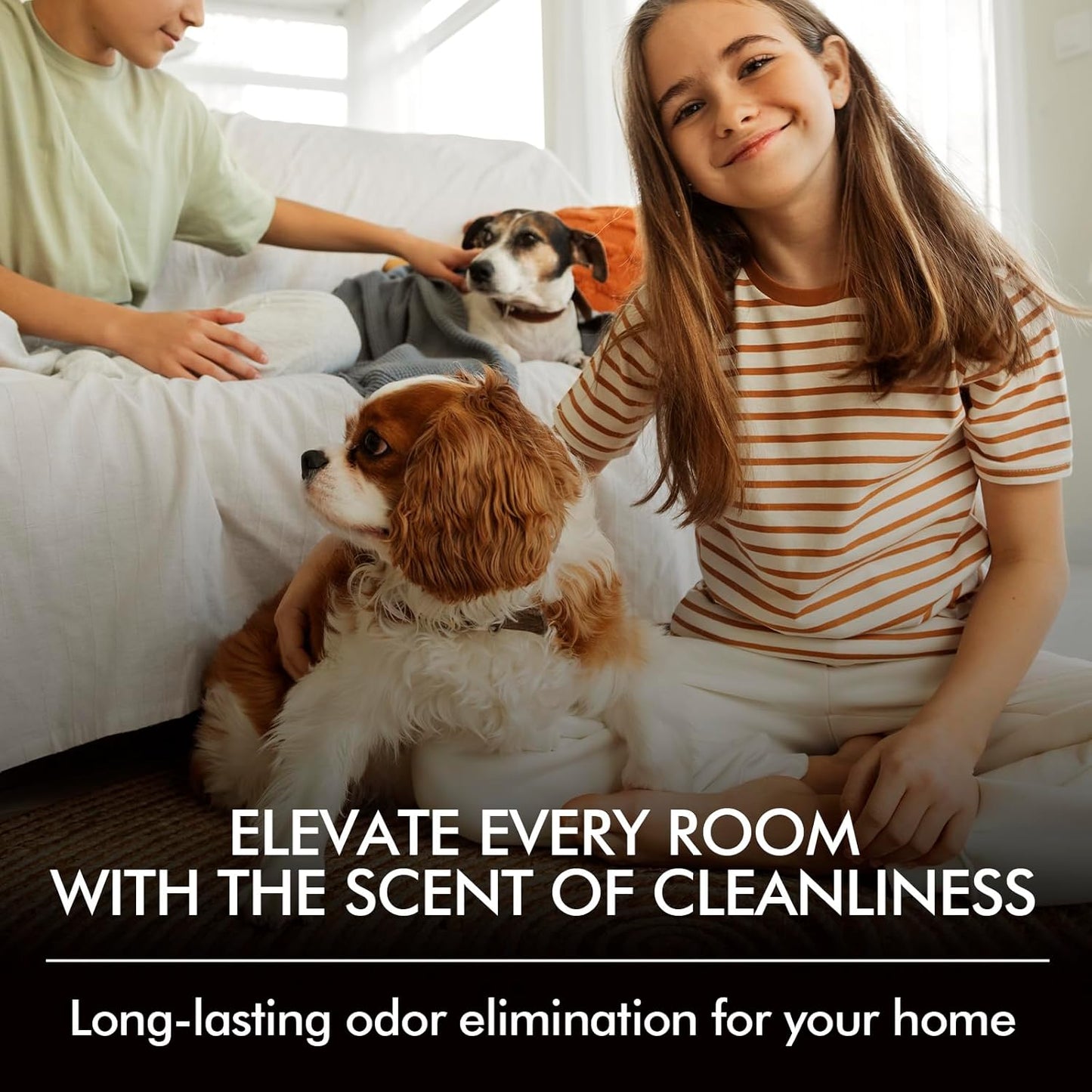 Fir & Forest Room Spray 2 Pack, 3.4oz/100ml Each – Long-Lasting Air Freshener & Odor Eliminator for Home, Bathroom, Bedroom & Office, Concentrated Room Spray