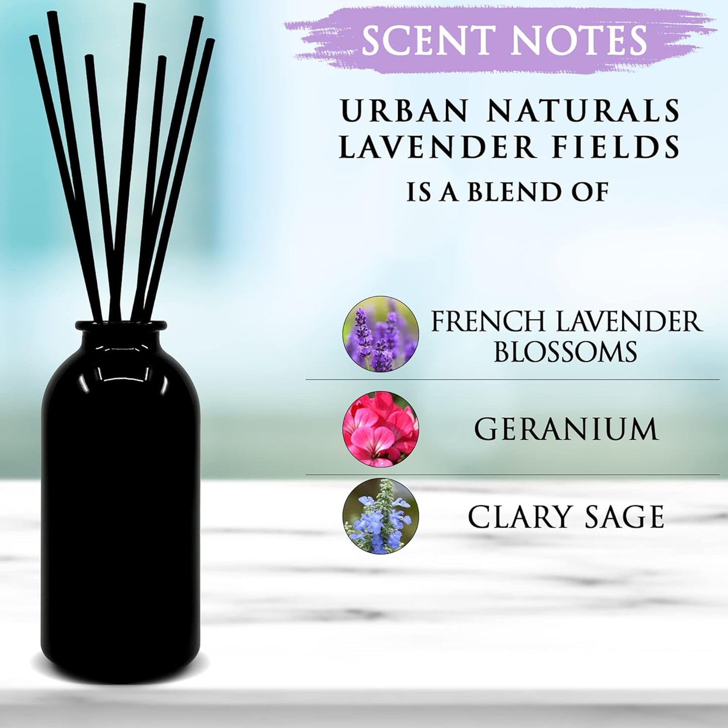 Urban Naturals Lavender Fields Oil Essential Oil Reed Diffuser Set with Real Lavender Stems! French Blossoms, Geranium & Clary Sage | #1 Gift Idea for Aromatherapy & Stress Relief | Vegan | USA Made