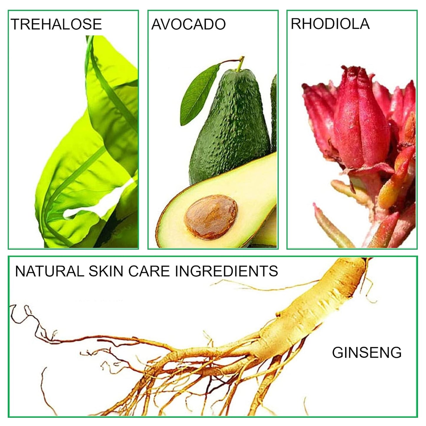 Mushroom Head Air Cushion CC Cream Foundation BB Cream Foundation Makeup Moisturizing CC Cream Liquid Foundation,Concealer Lasting Makeup Foundation Even Skin Tone Makeup Base Primer(Ivory)