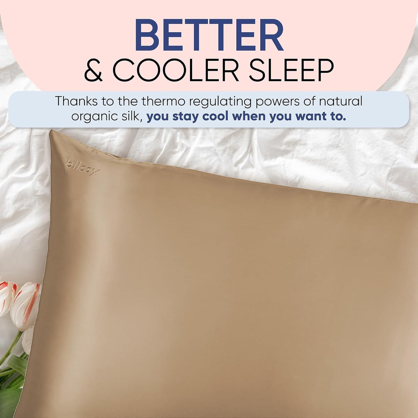 Blissy Silk Pillowcase - 100% Pure Mulberry Silk - 22 Momme 6A High-Grade Fibers - Silk Pillow Cover for Hair & Skin - Regular, Queen & King (Taupe, Queen)