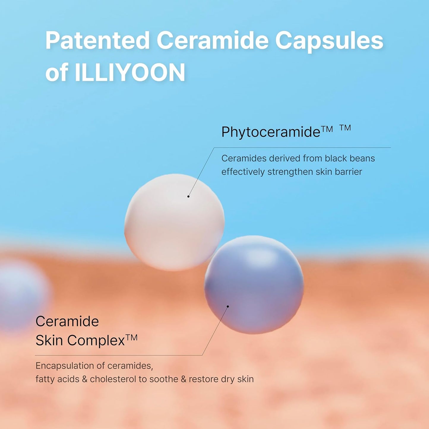 Illiyoon Ceramide Ato Concentrate Cream | Moisturizer for Dry & Sensitive Skin, 100hr Lasting Hydration, For Face & Body, Gentle for Infants, Moisture Barrier Repair, Vegan Certified, 2.53 fl.oz.
